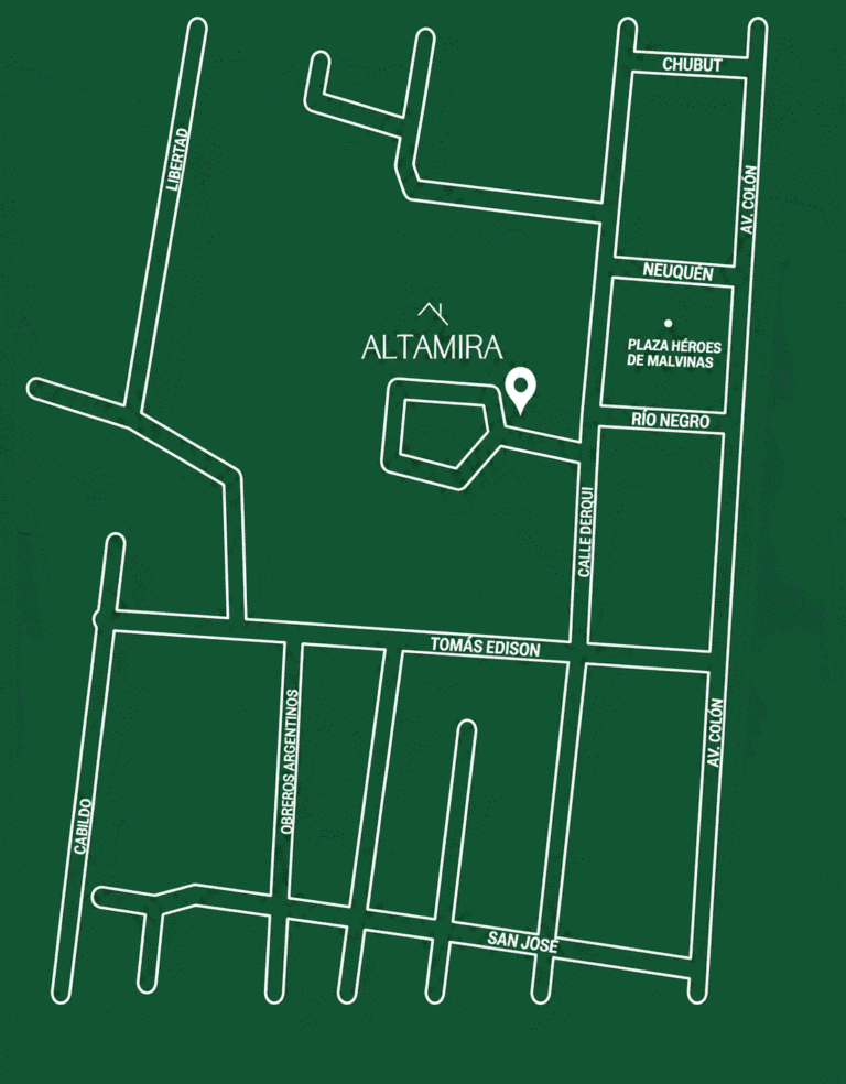 mapa altamira ong (1)