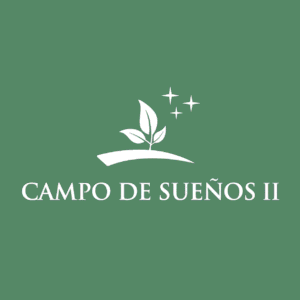 proyecto campo de sueños 2 png