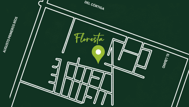 mapa floresta (1)